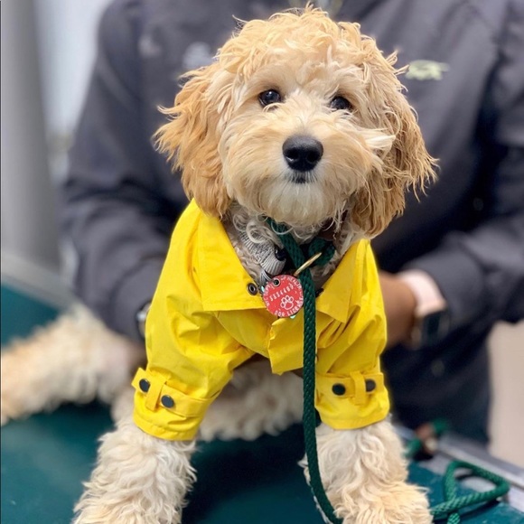 max bone rain jacket